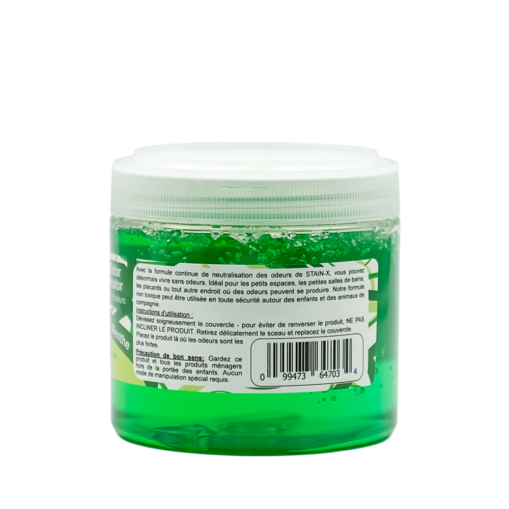 Stain-X Gel Odor Eliminator Eucalyptus Mint Back